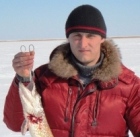 anatoly